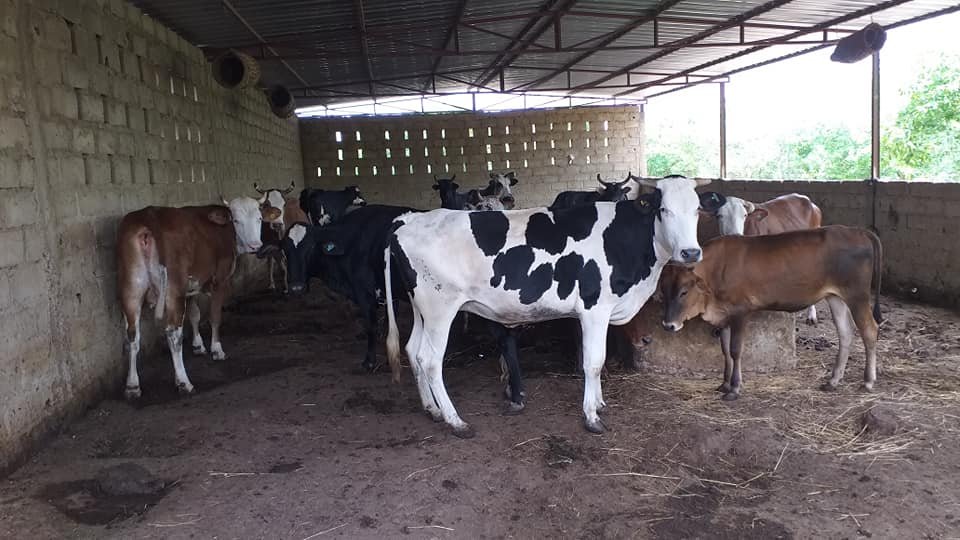 Transformation et hygiène